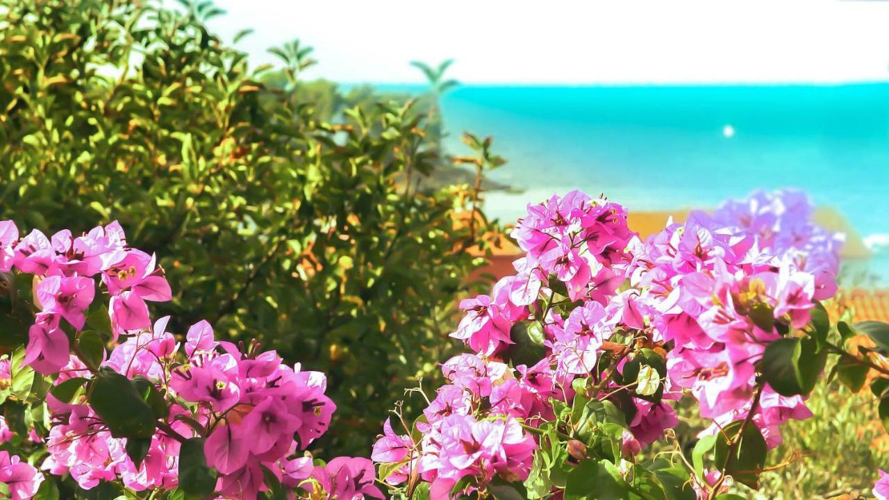 Adria Arba Apartments Rab Town Exterior foto